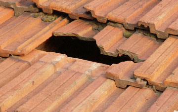 roof repair Llwynygog, Powys